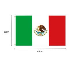 Bandera con palo 30x45cm